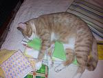     
: 20130511_220115.jpg
: 12
:	160.9 
ID:	6307448