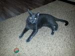     
: 20130531_195713.jpg
: 12
:	193.4 
ID:	6309117