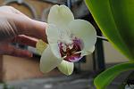     
: DSC_3423.jpg
: 9
:	66.5 
ID:	6309671