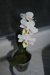     
: DSC_3368.jpg
: 5
:	30.8 
ID:	6309831