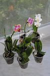     
: DSC_3395.jpg
: 7
:	75.1 
ID:	6309832