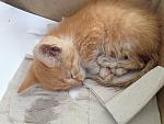     
: 2013-05-30 15-57-50.jpg
: 9
:	138.1 
ID:	6310236