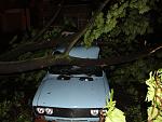     
: IMG_1518.JPG
: 35
:	90.0 
ID:	6310310
