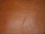     
: IMG_4383.jpg
: 10
:	81.4 
ID:	6311458