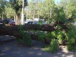     
: DSC07515.jpg
: 61
:	234.1 
ID:	6311598