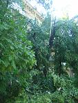     
: DSC07506.jpg
: 12
:	174.1 
ID:	6311611