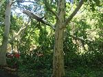     
: DSC07513.jpg
: 15
:	294.2 
ID:	6311619