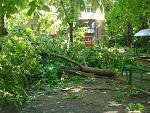     
: DSC07511.jpg
: 17
:	274.3 
ID:	6311625