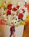     
: DSC_0099.jpg
: 9
:	101.6 
ID:	6312030