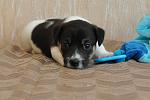     
: DSC_0134.JPG
: 16
:	282.9 
ID:	6312078