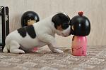     
: DSC_0074.jpg
: 9
:	59.6 
ID:	6312081