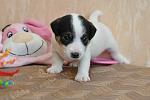     
: DSC_0189.JPG
: 19
:	262.6 
ID:	6312082