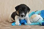     
: DSC_0149.JPG
: 13
:	259.3 
ID:	6312086