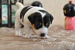     
: DSC_0078.jpg
: 10
:	57.0 
ID:	6312087