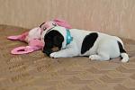     
: DSC_0237.jpg
: 9
:	54.5 
ID:	6312095
