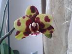     
: 2013-06-01 12.41.32.jpg
: 7
:	75.3 
ID:	6312143