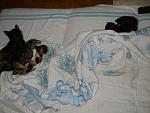     
: DSCN3664.jpg
: 13
:	92.9 
ID:	6312285