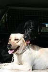     
: 4f8ca1907bea.jpg
: 32
:	31.6 
ID:	631297