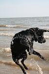     
: c0cf574ed2d3.jpg
: 31
:	33.5 
ID:	631306