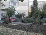     
: SDC19285.jpg
: 13
:	156.6 
ID:	6313528