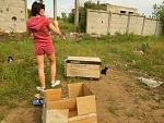     
: DSCN2782.jpg
: 15
:	241.6 
ID:	6314144