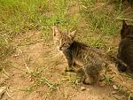     
: DSCN2788.jpg
: 7
:	268.7 
ID:	6314248