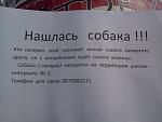     
: Фото0107.jpg
: 26
:	81.1 
ID:	6314269