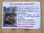     
: Фото0087.jpg
: 19
:	148.4 
ID:	6314284