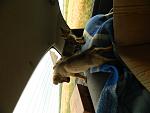     
: DSCN2791.jpg
: 6
:	113.2 
ID:	6314297