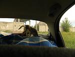     
: DSCN2789.jpg
: 7
:	106.2 
ID:	6314298