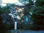     
: DSC00489_.jpg
: 13
:	186.5 
ID:	6314451