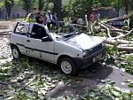     
: 010620135510.jpg
: 24
:	180.5 
ID:	6315624