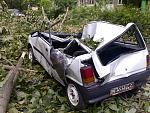     
: 010620135512.jpg
: 23
:	181.3 
ID:	6315625