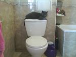     
: IMG_20130601_122156.jpg
: 10
:	101.4 
ID:	6317672