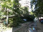     
: DSCN0802.jpg
: 14
:	184.9 
ID:	6318871
