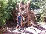     
: ImageUploadedByTapatalk1370205938.609610.jpg
: 21
:	260.6 
ID:	6319021