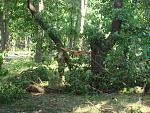     
: DSC07547.jpg
: 9
:	249.3 
ID:	6319181