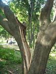     
: DSC07548.jpg
: 7
:	172.3 
ID:	6319182