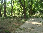     
: DSC07545.jpg
: 8
:	176.0 
ID:	6319183