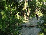    
: DSC07558.jpg
: 4
:	238.1 
ID:	6319188
