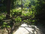     
: DSC07557.jpg
: 5
:	249.6 
ID:	6319189