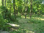     
: DSC07559.jpg
: 7
:	256.7 
ID:	6319190