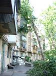     
: derevo.JPG
: 18
:	143.5 
ID:	6319475