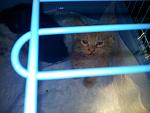     
: 20130601_170651.jpg
: 32
:	88.4 
ID:	6319606