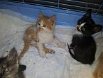    
: 20130601_170701.jpg
: 34
:	116.7 
ID:	6319620