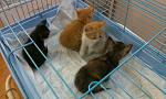     
: IMAG0166.jpg
: 32
:	103.2 
ID:	6319655