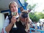     
: SAM_2578.jpg
: 6
:	147.4 
ID:	6319879