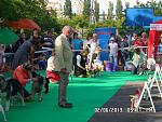     
: SAM_2566.jpg
: 4
:	183.2 
ID:	6319883