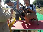     
: Фото-0142.jpg
: 13
:	171.5 
ID:	6319884