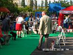     
: SAM_2567.jpg
: 8
:	182.3 
ID:	6319885
